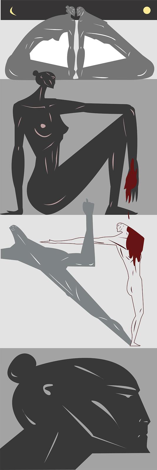 Wild Story